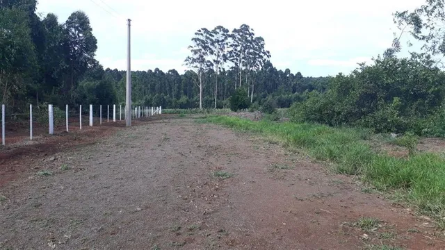 Área rural, foto 3