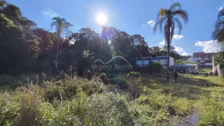 Vista externa de uma propriedade com vegetação densa e árvores.