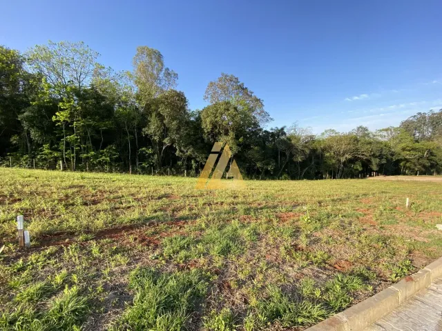 Terreno, foto 4