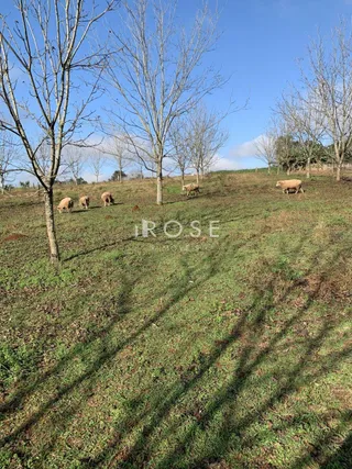 Imóvel, foto 4