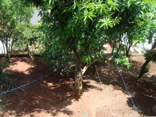 Casa com 4 dormitórios, foto 10