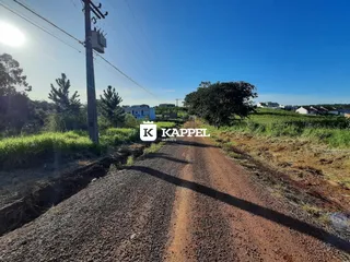 Vista de uma estrada de terra em uma área rural com vegetação.