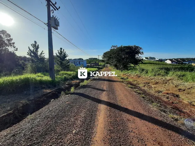 Vista de uma estrada de terra em uma área rural com vegetação.
