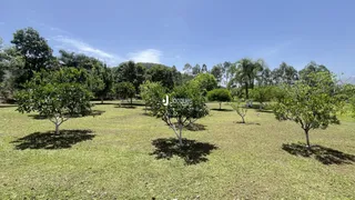 Área rural com 4 dormitórios, foto 8