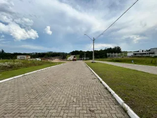 Vista de um caminho pavimentado com grama ao redor.