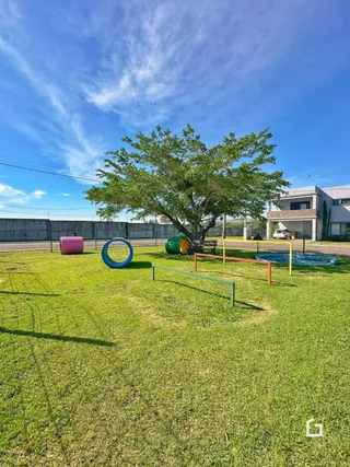 Área gramada com equipamentos de playground ao ar livre e uma grande árvore.