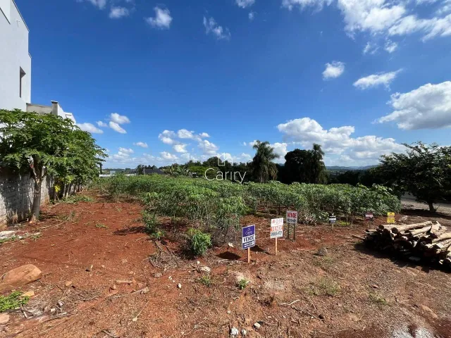 Terreno, foto 3