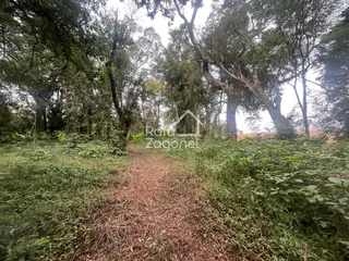 Terreno, foto 7