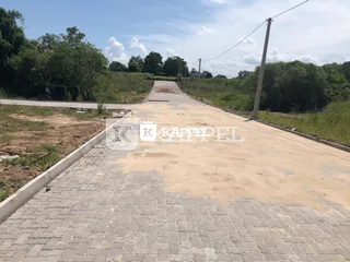 Vista de um caminho pavimentado que se estende por uma área verde.