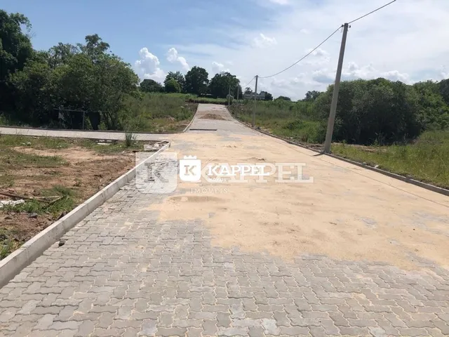 Vista de um caminho pavimentado que se estende por uma área verde.