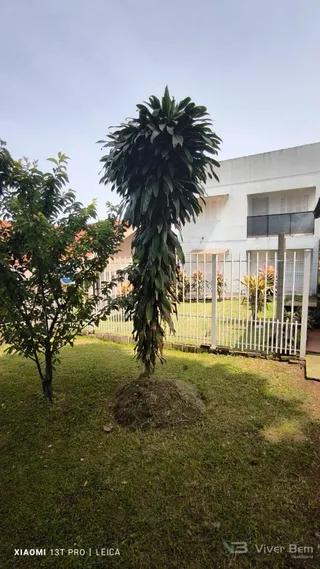 Casa com 4 dormitórios, foto 18