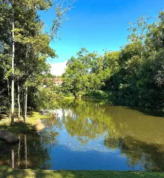 Terreno, foto 2