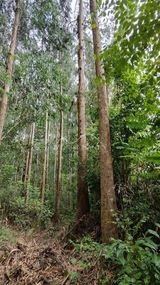 Área rural, foto 8