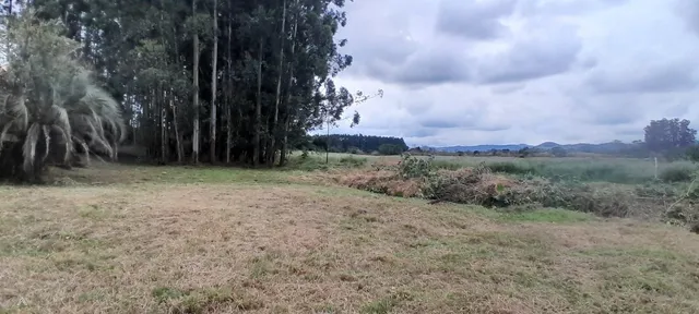 Área rural, foto 3