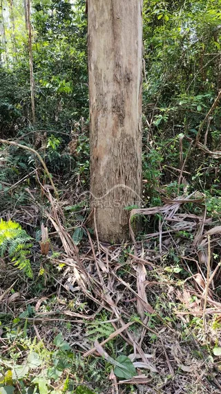 Área rural, foto 4