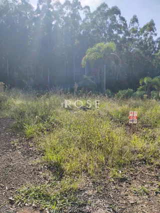 Terreno, foto 4