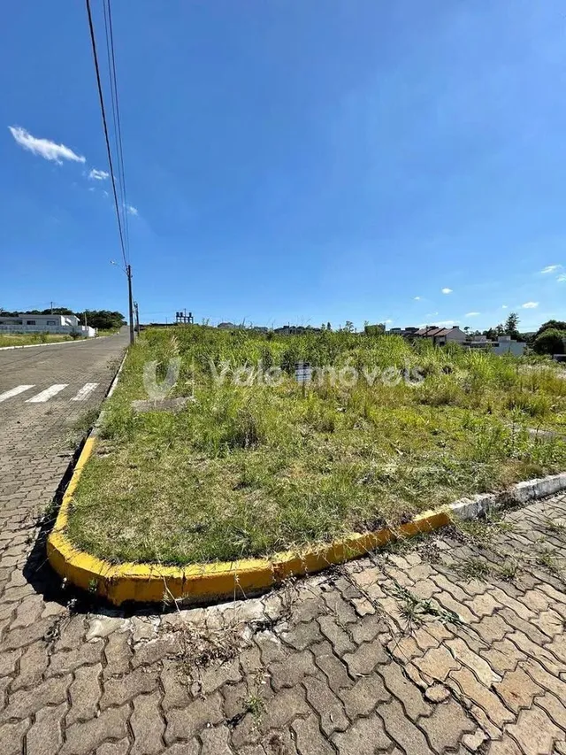 Paisagem de grama ao lado de uma estrada de paralelepípedos.