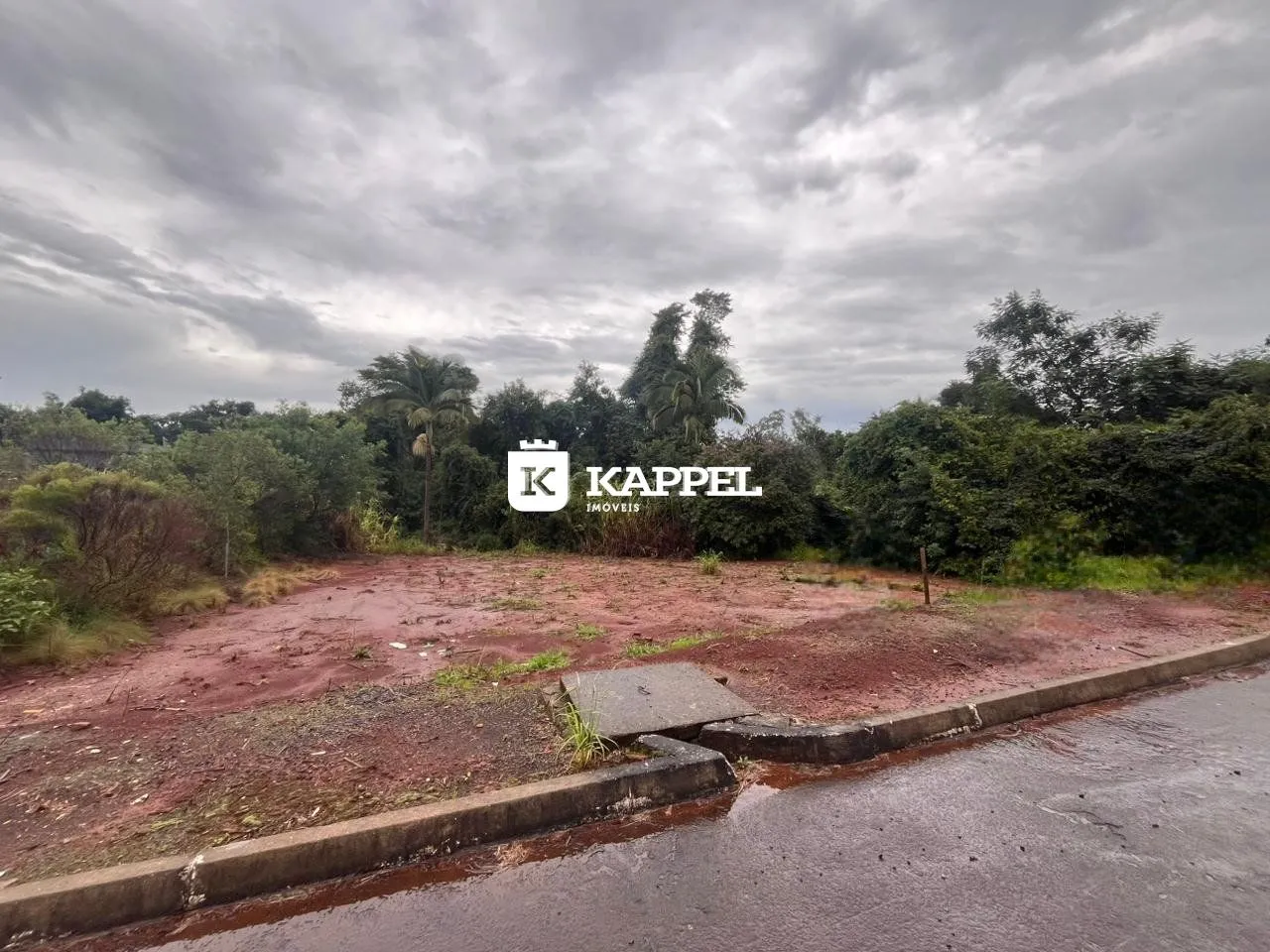 Vista externa de um terreno com vegetação densa e área de terra vermelha.