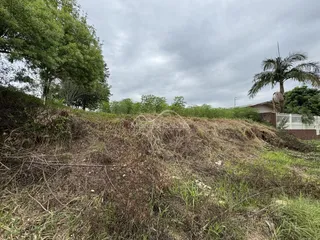 Vista de vegetação seca e grama alta em uma área externa.