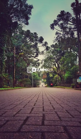 Uma vista da estrada de acesso em Lajeado, Brasil.