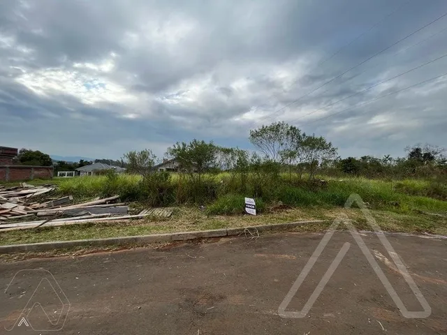 Terreno