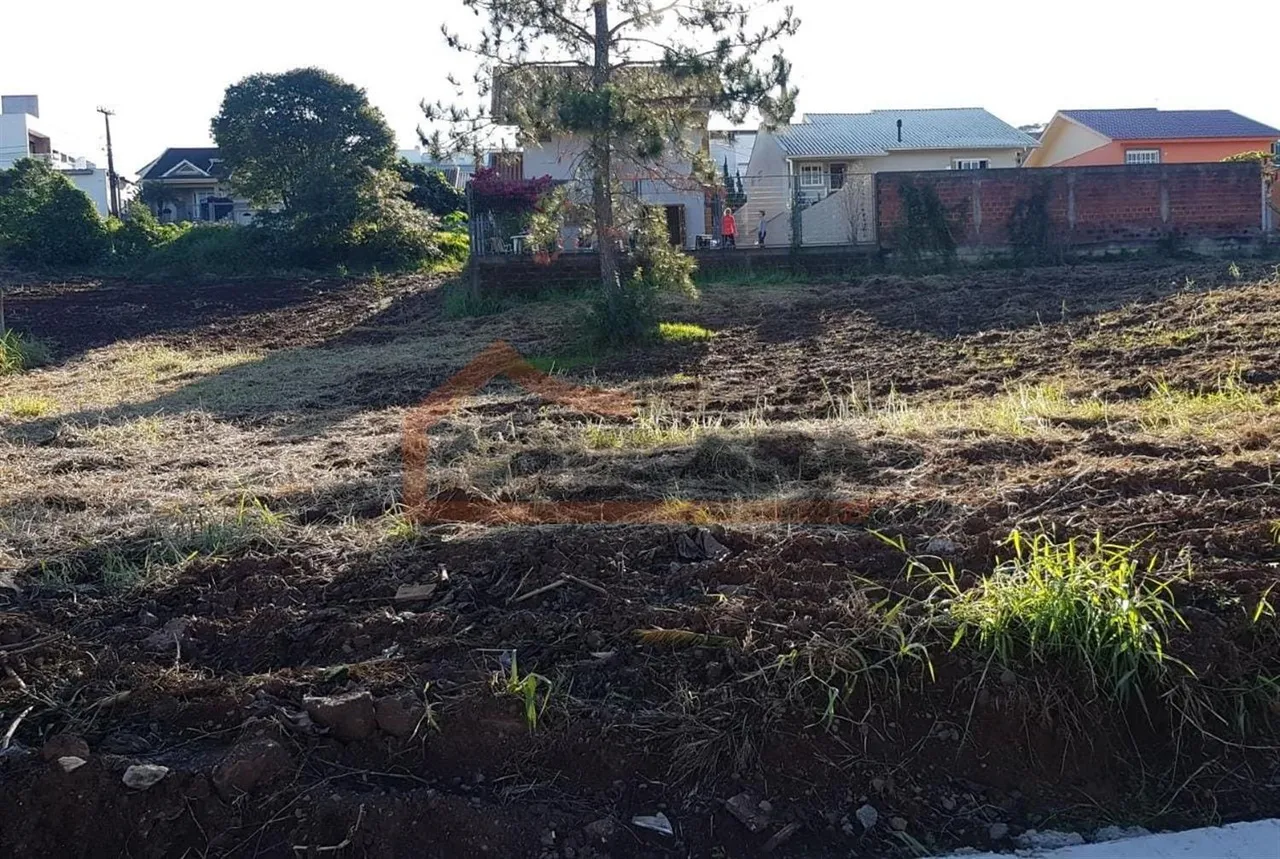 Terreno, foto 1