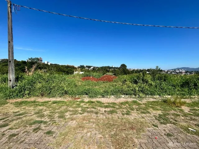 Terreno