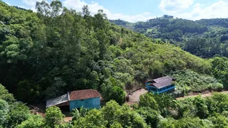 Vista panorâmica de uma área verde com vegetação densa em Lajeado.