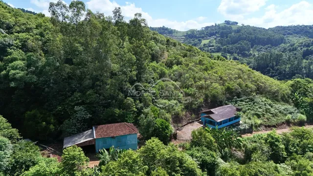 Vista panorâmica de uma área verde com vegetação densa em Lajeado.