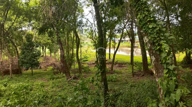 Paisagem externa com vegetação densa e um rio ao fundo.