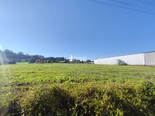 Vista de um campo verde com uma construção ao fundo.