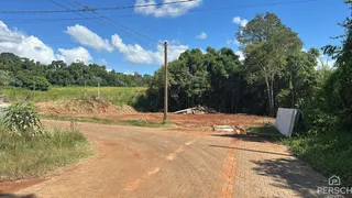 Vista da estrada de terra que leva à propriedade cercada por vegetação densa.