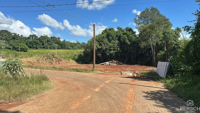 Vista da estrada de terra que leva à propriedade cercada por vegetação densa.