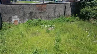 Área externa com grama alta e parede de alvenaria ao fundo.