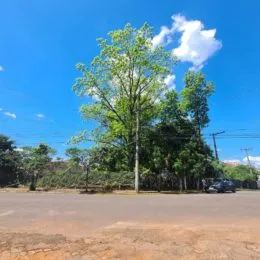 Terreno, foto 2