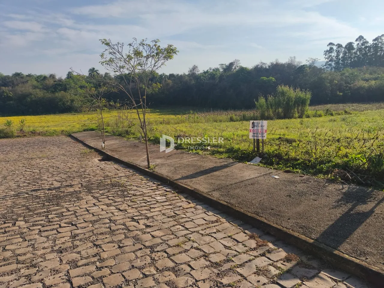 Terreno, foto 1
