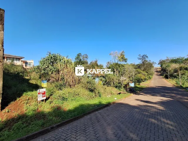 Vista da estrada pavimentada em uma área verde e arborizada.