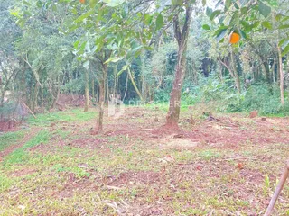 Terreno, foto 10