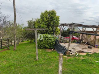 Área rural com 3 dormitórios, foto 2