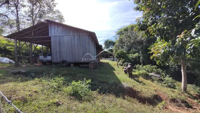 Área rural, foto 5