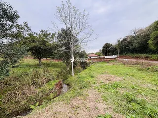 Vista da propriedade com vegetação densa e área de mata.