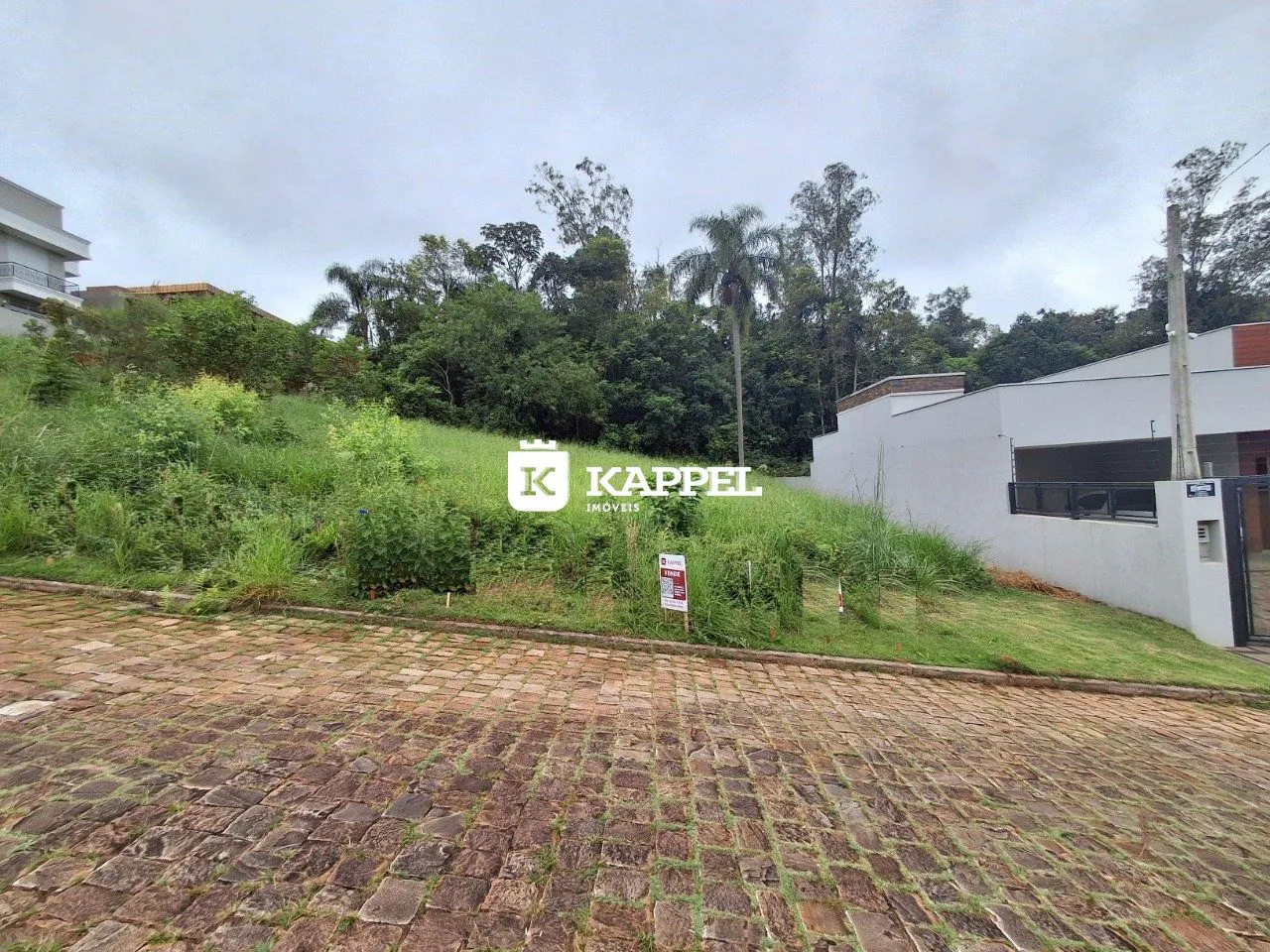 Vista externa de uma propriedade com paisagismo e área pavimentada.