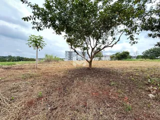 Vista externa de uma propriedade com vegetação seca e árvores no primeiro plano.