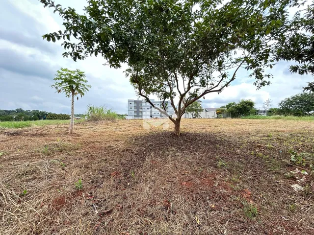 Vista externa de uma propriedade com vegetação seca e árvores no primeiro plano.