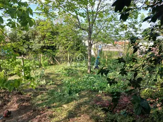 Casa, foto 9