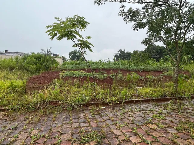 Terreno