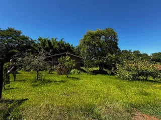 Vista externa de um terreno gramado com vegetação e uma residência ao fundo.