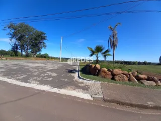 Terreno, foto 28