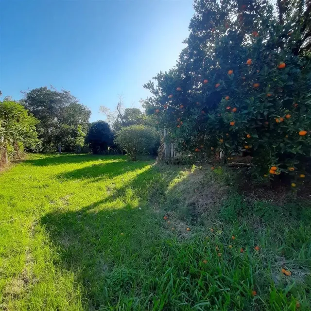 Área rural com 3 dormitórios, foto 3