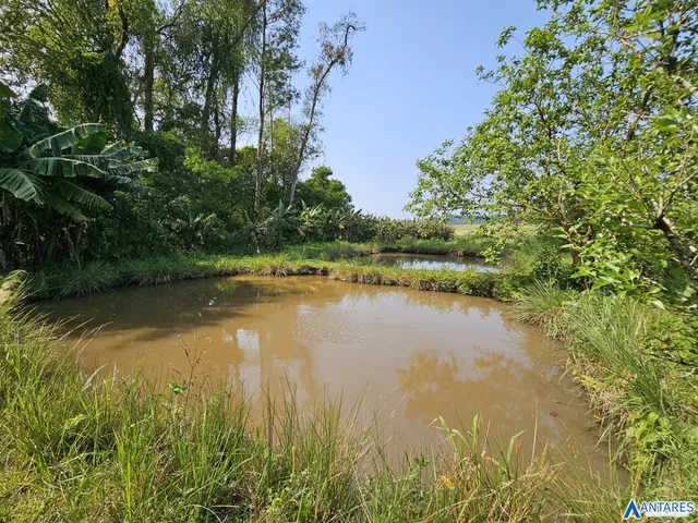 Área rural, foto 2
